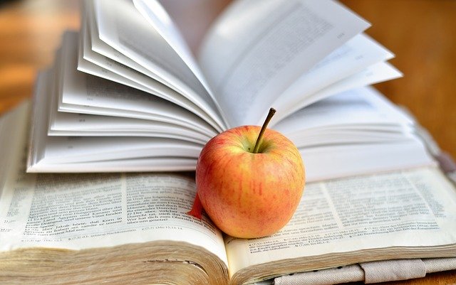 手引書